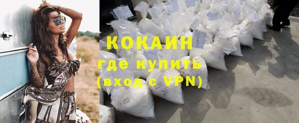 стаф Балахна
